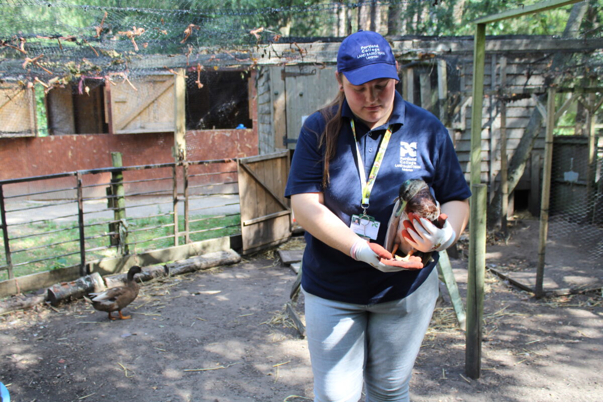 Supported Work Placements