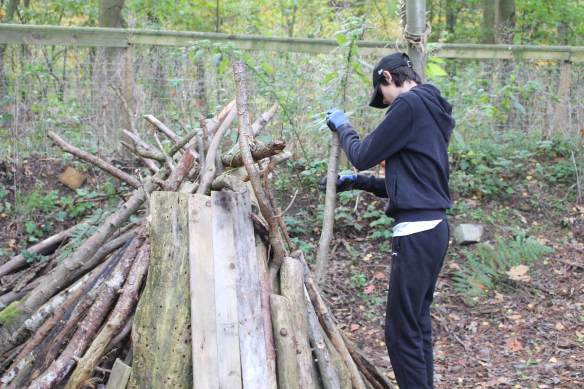 Brunette boy with black hat, making a fort out of branches